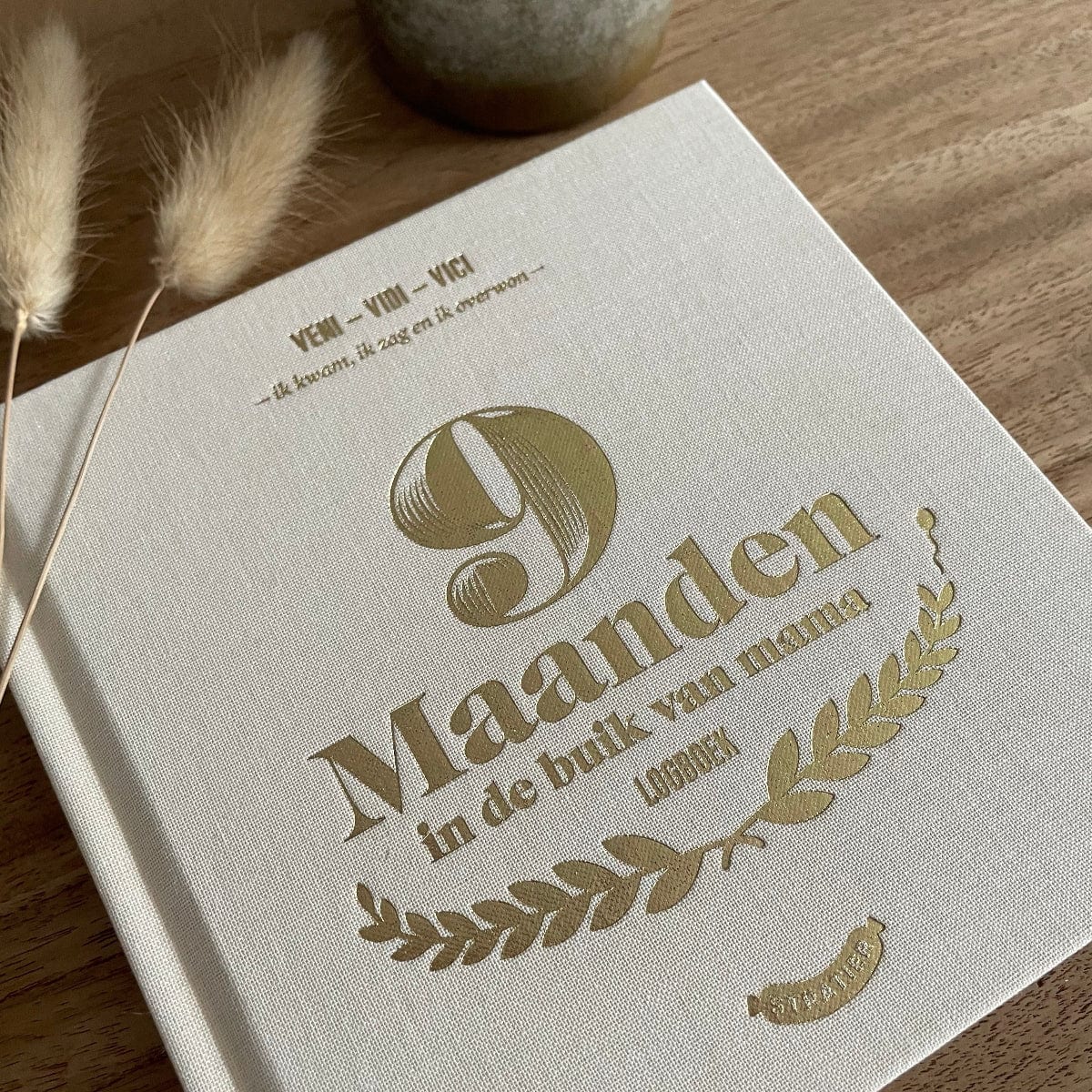 9 maanden invulboek stratier dieter coppens in de buik van mama beige