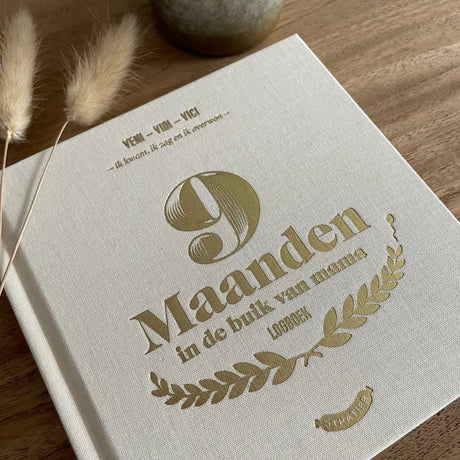 9 maanden invulboek stratier dieter coppens in de buik van mama beige