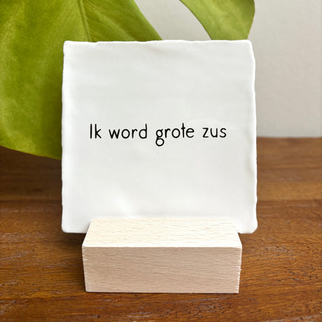 Tegeltje • Ik Word Grote Zus