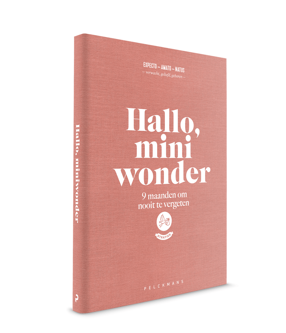 invulboek hallo mini wonder zwanger zwangerschap stratier dieper coppens 9 maanden boek