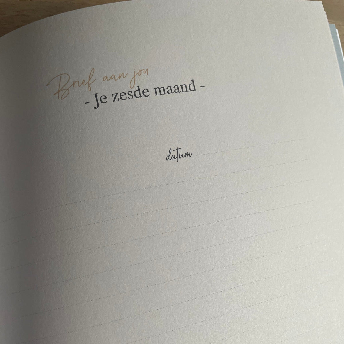 milestone baby journal gemma broekhuis invulboek eerste jaar 