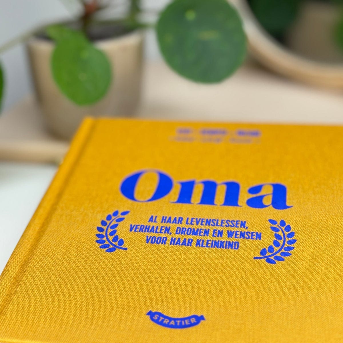 oma boek stratier dieter coppens invulboek